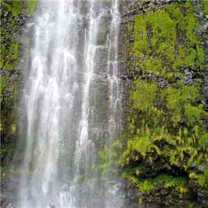 Sean Michael Frenette - Viennawaterfalls (Live 06​/​25​/​2002) mp3 album
