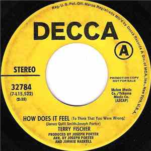 Terry Fischer - How Does It Feel / Child Of Mine mp3 album