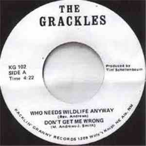 The Grackles - Who Needs Wildlife Anyway mp3 album