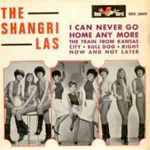 The Shangri-Las - I Can Never Go Home Any More mp3 album