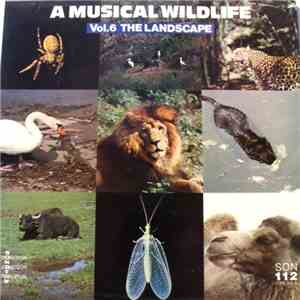 Various - A Musical Wildlife Vol. 6 The Landscape mp3 album