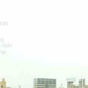Various - A Quiet Position - Edition One: Field Fest mp3 album