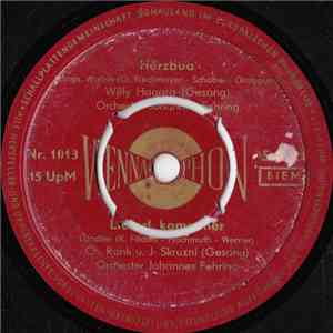 Various - Herzbua / Lieserl, Komm Her / Von Lech Bis St.Anton / Auf Dem Berg mp3 album