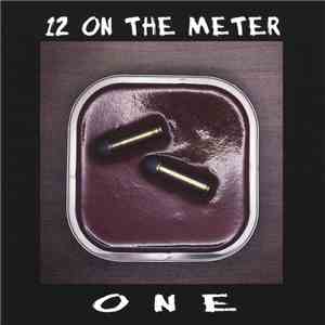12 On The Meter - One mp3 album