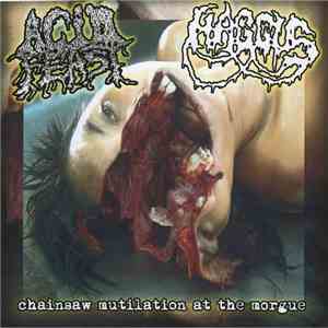 Acid Feast / Haggus - Chainsaw Mutilation At The Morgue mp3 album