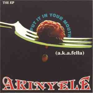 Akinyele - Put It In Your Mouth mp3 album