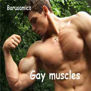 Barusamico - Gay Muscles mp3 album