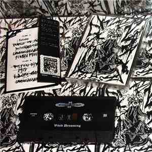 Broken Spirit  - Vivid Dreaming mp3 album
