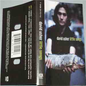 David Usher - Little Songs mp3 album