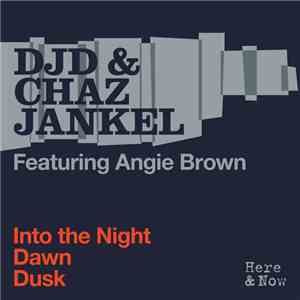DJD & Chaz Jankel Featuring Angie Brown - Into The Night mp3 album