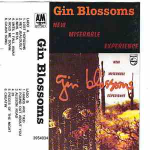 Gin Blossoms - New Miserable Experience mp3 album