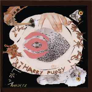 Harry Pussy - Live In Austin, TX mp3 album