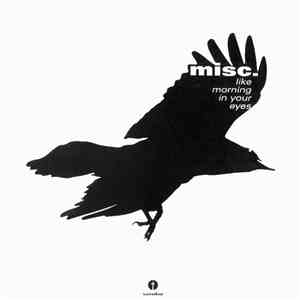 Misc. - Like Morning In Your Eyes mp3 album