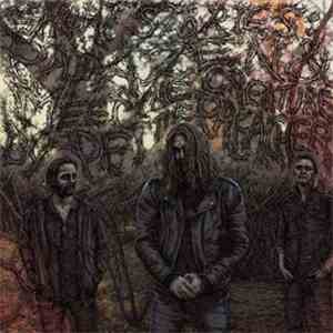 Pet The Preacher - Short Stories: Papa Zen & Meet The Creature mp3 album