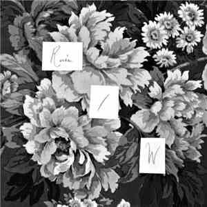 Ruin  / W  - We Fell In Love In The Wreckage / Open Water mp3 album