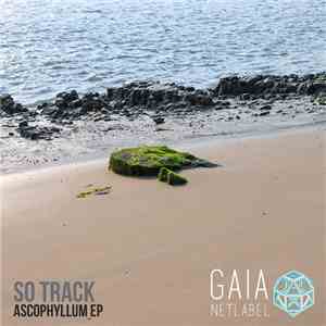 So Track - Ascophyllum EP mp3 album