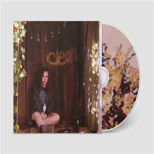 Soccer Mommy - Clean mp3 album
