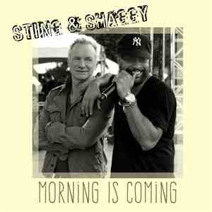Sting & Shaggy - Morning Is Coming mp3 album