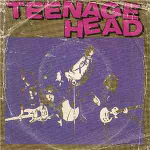 Teenage Head - Somethin' On My Mind B/W Let's Shake mp3 album