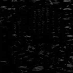 Terg / Squamata - The Walls Close In mp3 album