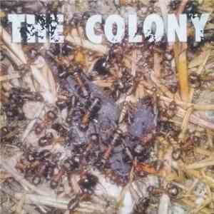 The Colony  - The Colony mp3 album