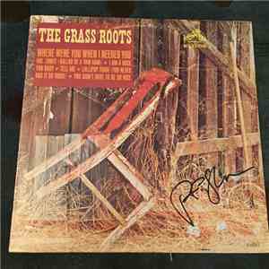 The Grass Roots - Where Were You When I Needed You mp3 album