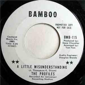 The Profiles  - A Little Misunderstanding mp3 album