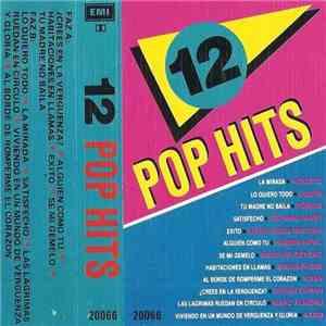 Various - 12 Pop Hits mp3 album