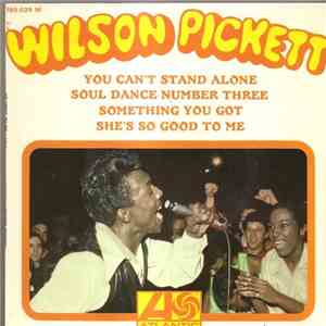 Wilson Pickett - You Can't Stand Alone mp3 album