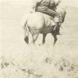 Bruce Langhorne - The Hired Hand mp3 album