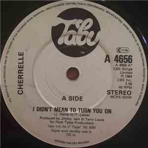 Cherrelle - I Didn't Mean To Turn You On mp3 album