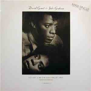 David Grant & Jaki Graham - Could It Be I'm Falling In Love mp3 album