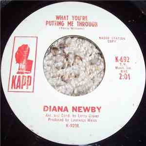 Diana Newby - What You're Putting Me Through / Say It Again mp3 album