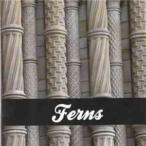 Ferns / The Shandy Express - split mp3 album