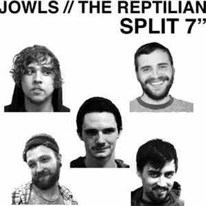 Jowls / The Reptilian - Jowls // The Reptilian mp3 album