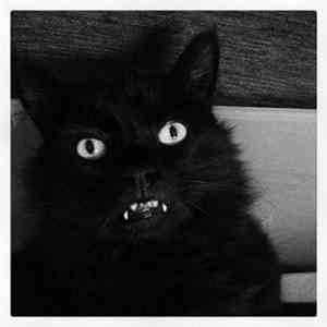 Lurch  - Lurch mp3 album