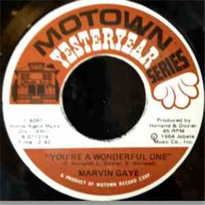 Marvin Gaye - You're A Wonderful One / Try It Baby mp3 album