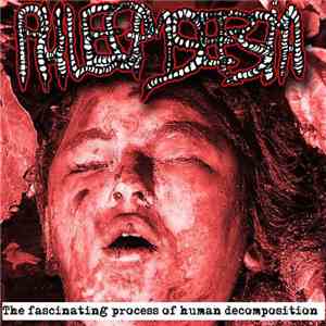 Phlegmsepsia - The Fascinating Process Of Human Decomposition (Demo) mp3 album