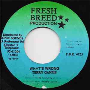 Terry Ganzie - What's Wrong mp3 album