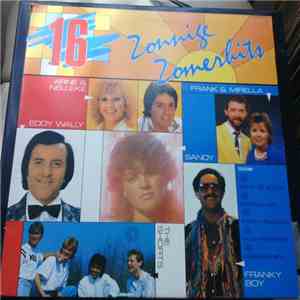 Various - 16 Zonnige Zomerhits mp3 album