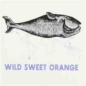 Wild Sweet Orange - Wild Sweet Orange mp3 album