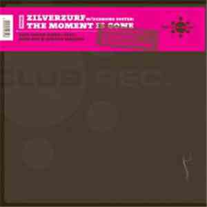 Zilverzurf - The Moment Is Gone mp3 album