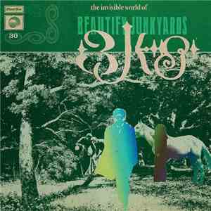 Beautify Junkyards - The Invisible World Of Beautify Junkyards mp3 album