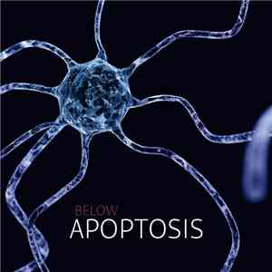 Below - Apoptosis mp3 album