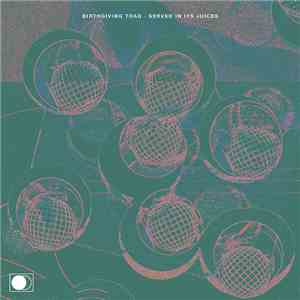 Birthgiving Toad - Served In Its Juices mp3 album
