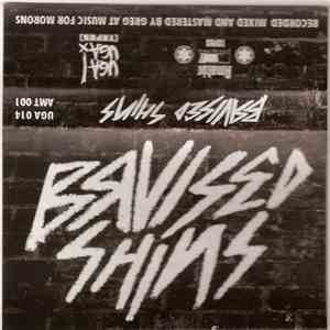 Bruised Shins - Bruised Shins mp3 album
