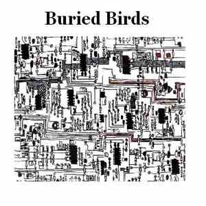 Buried Birds - The Empty Lake Of Sanity EP mp3 album
