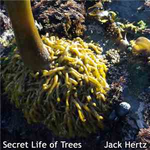 Jack Hertz - Secret Life Of Trees mp3 album