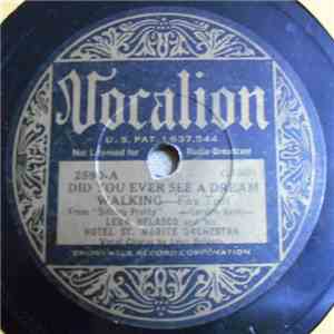 Leon Belasco And His Hotel St. Moritz Orchestra - Did You Ever See A Dream Walking / Many Moons Ago mp3 album