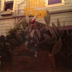 Little Wings - Brrr mp3 album